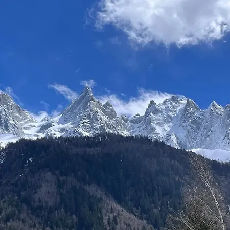 公寓 Le 41 Du Lyret - Type Pour Deux Avec Vue Sur Les Aiguilles Dans Centre 霞慕尼