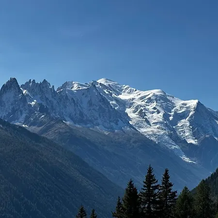 公寓 Le 41 Du Lyret - Type Pour Deux Avec Vue Sur Les Aiguilles Dans Centre *