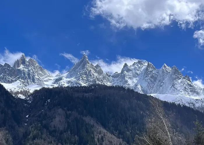 Apartment Le 41 Du Lyret - Type Pour Deux Avec Vue Sur Les Aiguilles Dans Centre Chamonix