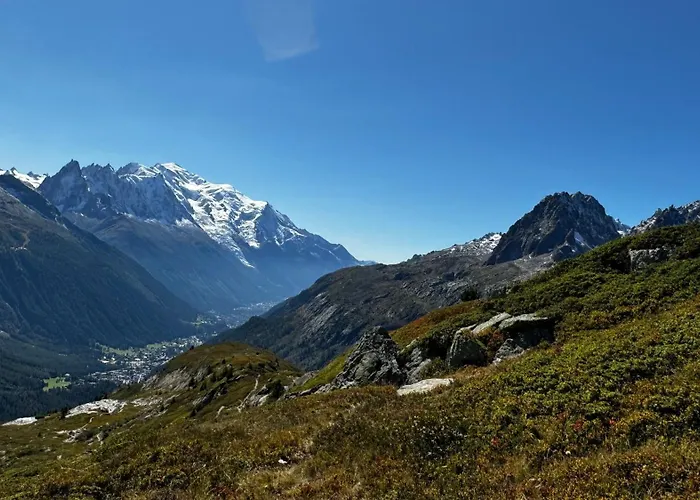 公寓 Le 41 Du Lyret - Type Pour Deux Avec Vue Sur Les Aiguilles Dans Centre 霞慕尼